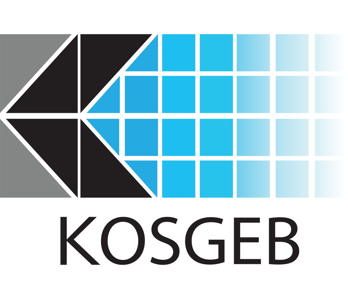 kosgeb-1