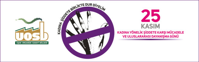 web sitesi_kadına yönelik şiddet