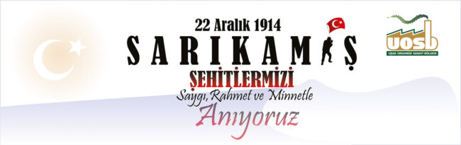 web sitesi_sarıkamış