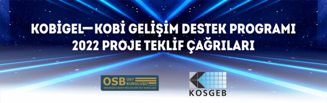 WEB SİTESİ