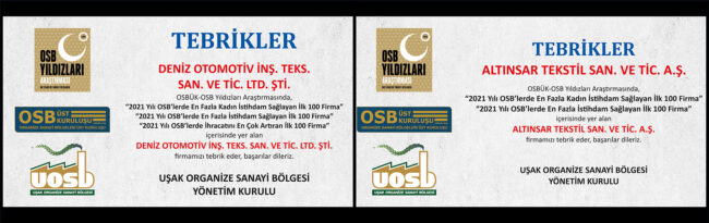 WEB SİTESİ