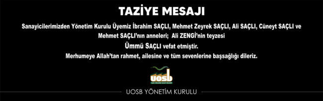 WEB SİTESİ