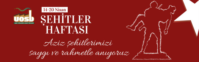 WEB SİTESİ