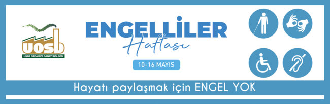 WEB SİTESİ(14)